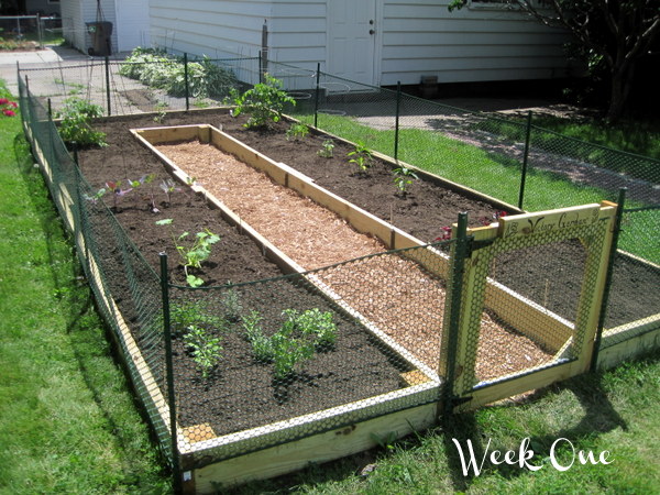 Ideas & Inspiration For Building A Raised Garden Bed...