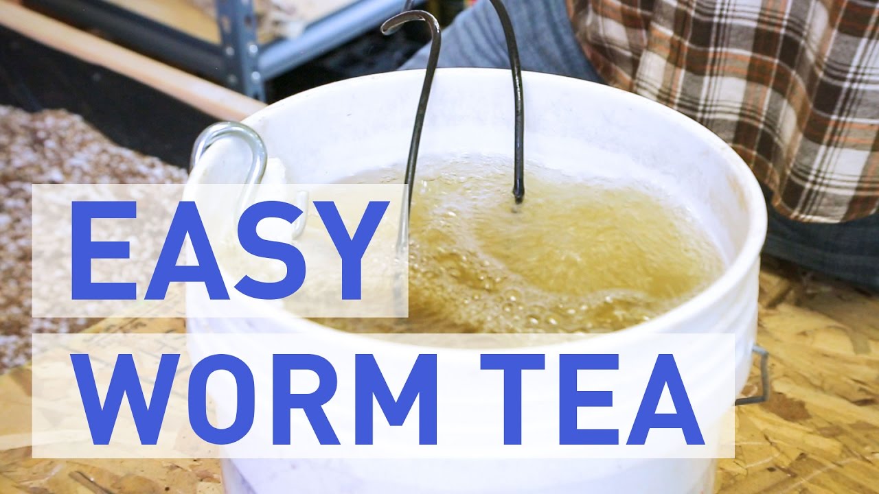 How To Make Worm Tea...