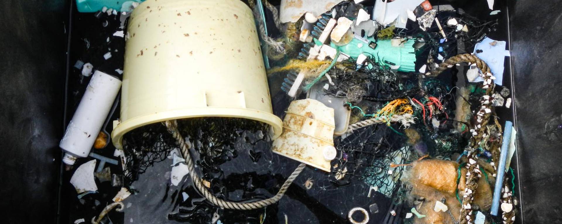 Great Pacific Garbage Patch Is Growing At An Exponential Rate...