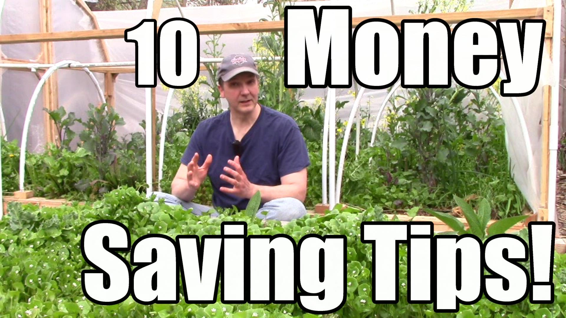 10 Money & Resource Saving Tips for Gardeners...