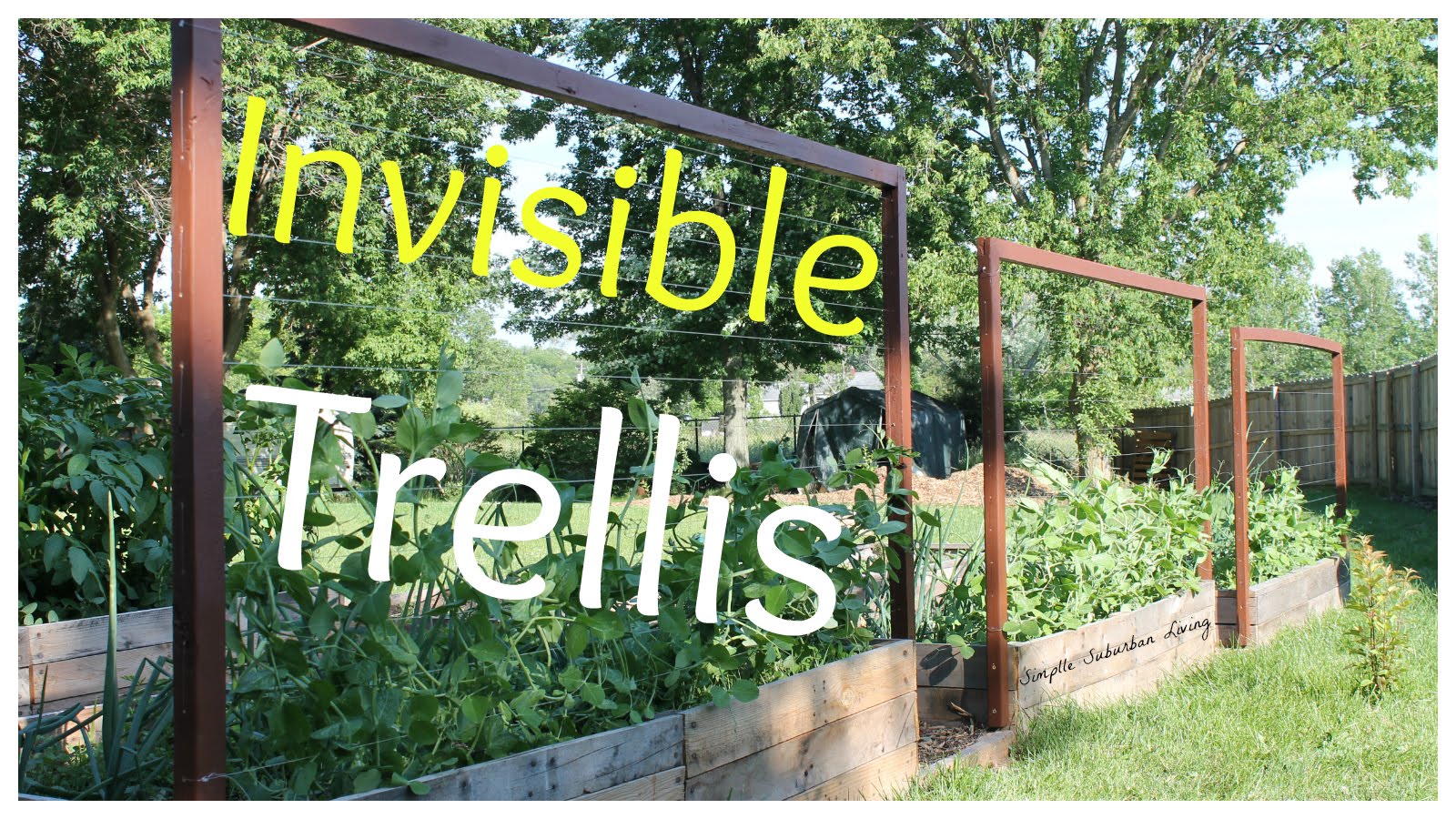 Invisible Trellis – A Cheap Raised Bed Trellis System...
