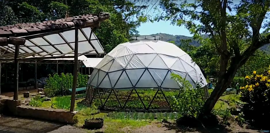 Tour Of An Entire Permaculture Neighborhood in Costa Rica...