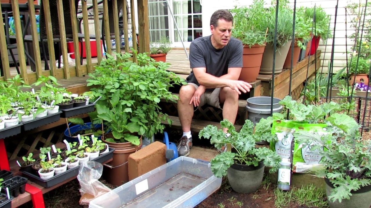 Container Gardening: Worm Castings, A Soilless Mix, Refreshing Old Mix, Moisture Control...