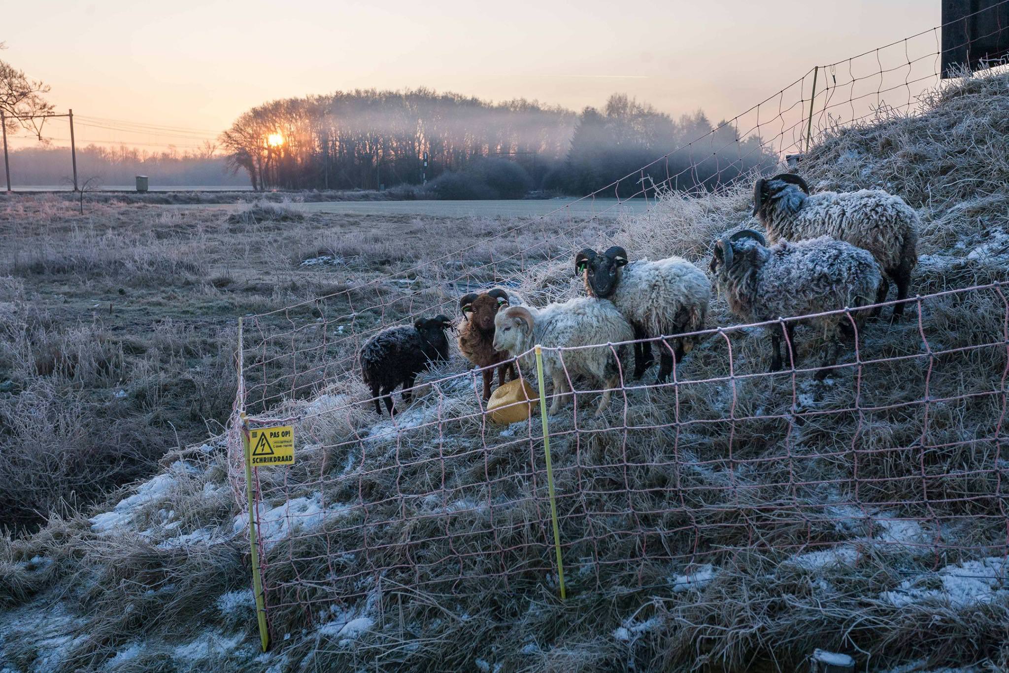 Living In A Modern EcoVillage...