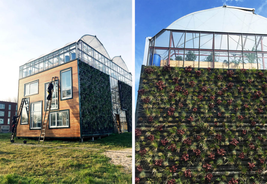 Family Try Living Self-Sufficiently In Home Inside A Greenhouse In Rotterdam...