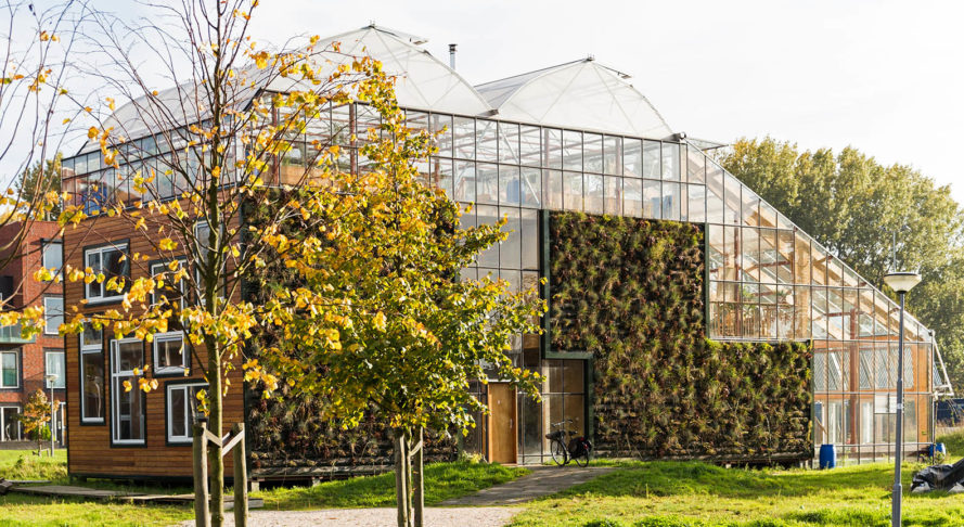 Family Try Living Self-Sufficiently In Home Inside A Greenhouse In Rotterdam...