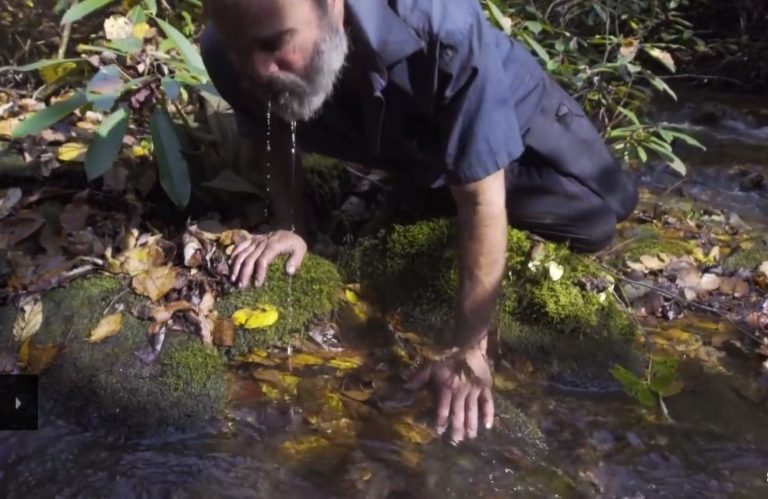 Enchanted Off Grid Community Discovered Hiding In The Appalachians...