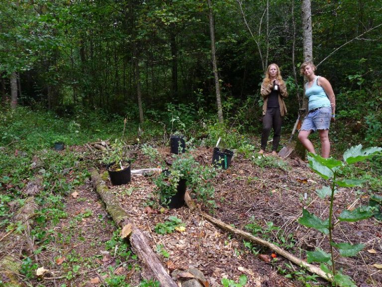 Enchanted Off Grid Community Discovered Hiding In The Appalachians...