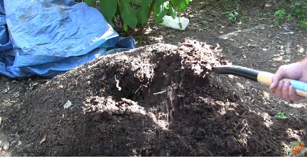 Grass To Garden Soil In 14 Days! Drunken Composting Using Beer, Cola, & Ammonia...