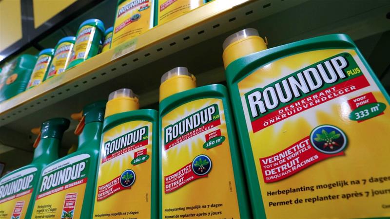 Monsanto Ordered to Pay $289 Million After Jury Finds Roundup Caused Man’s Cancer...