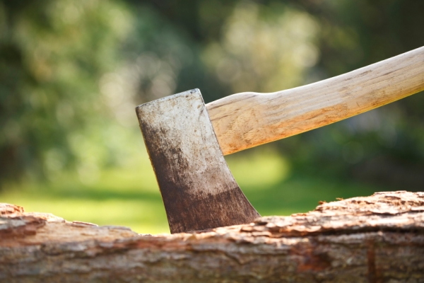 The Top 5 Most Popular Axes & Hatchets For Chopping Wood...
