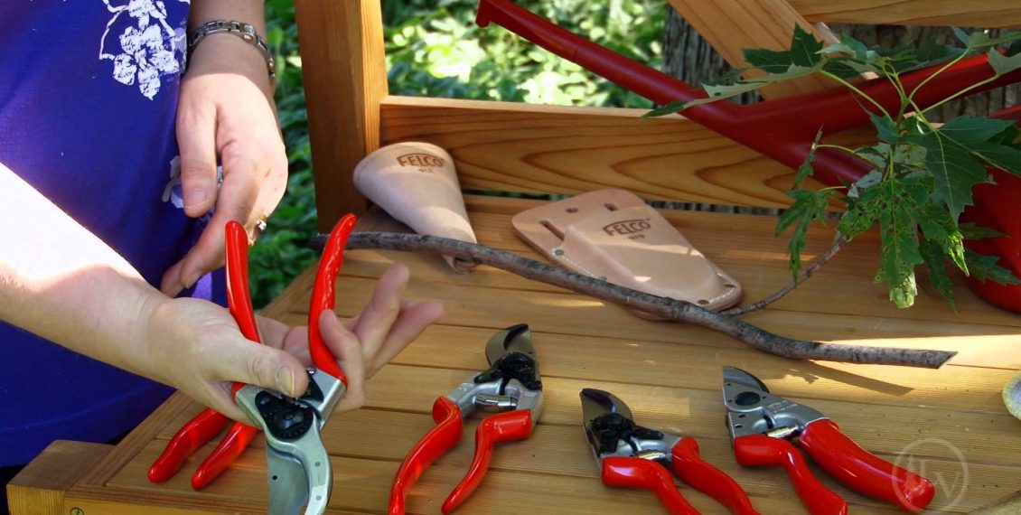 Best Selling Hand Pruning Shears - Reviews...
