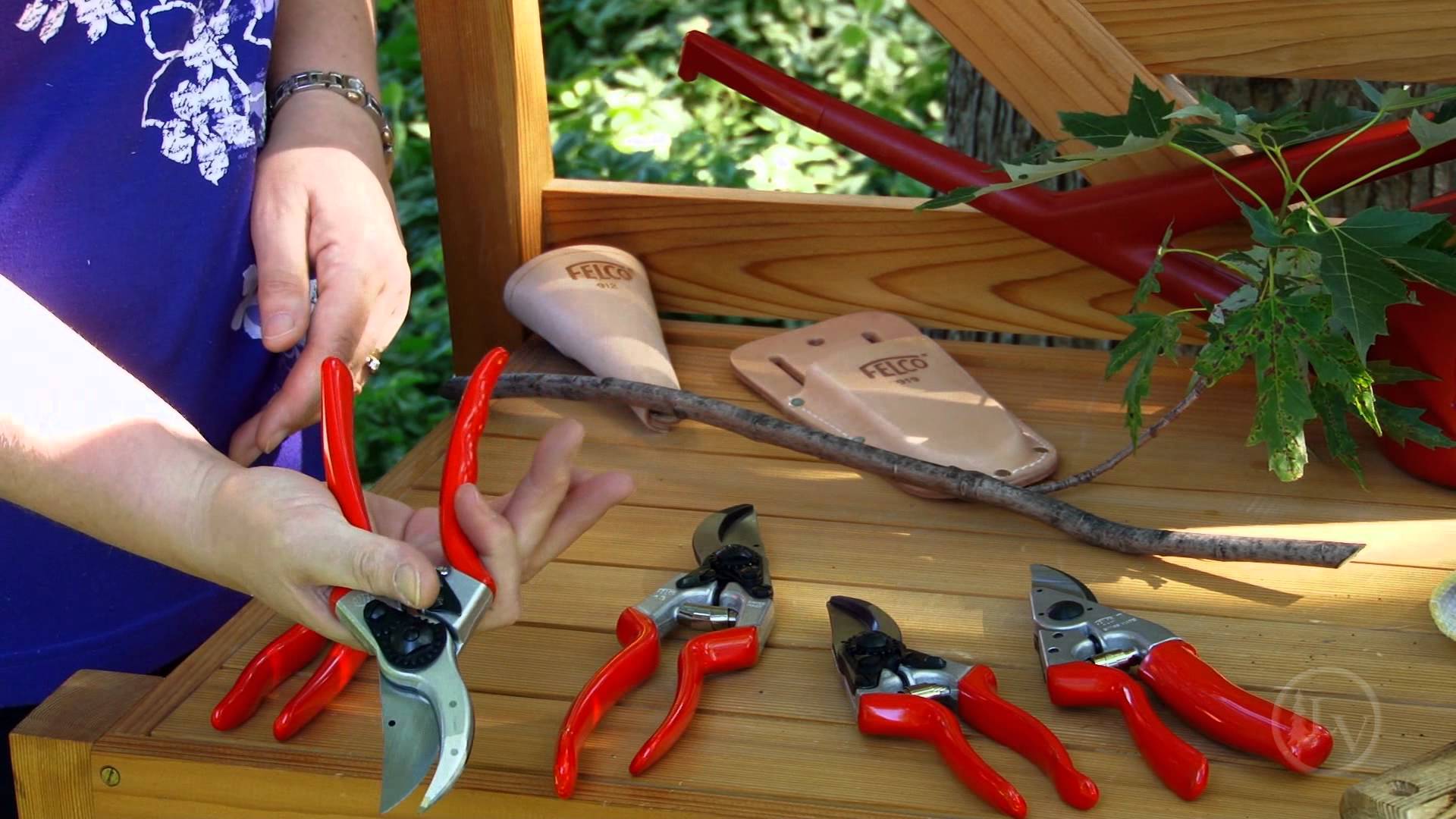 Best Selling Hand Pruning Shears - Reviews...