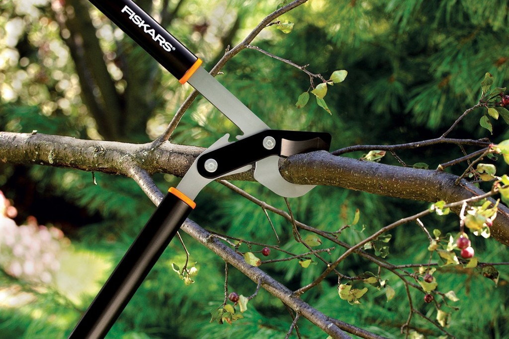 Best Selling Tree Pruning Shears & Loppers - Reviews...