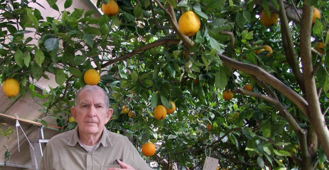 Nebraska Retiree Uses The Earths Heat To Grow Oranges In The Snow...