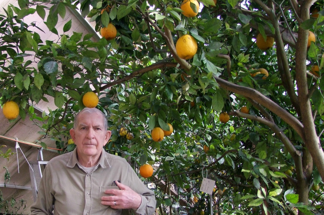 Nebraska Retiree Uses The Earths Heat To Grow Oranges In The Snow...