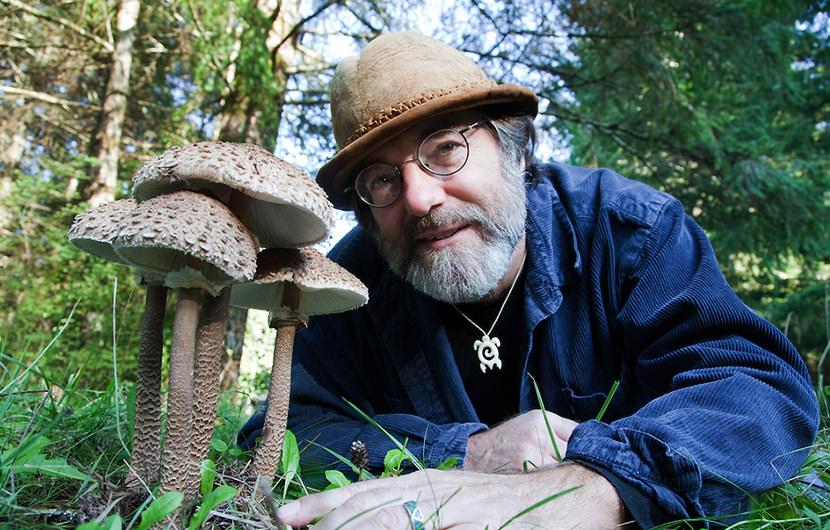 6 Ways Mushrooms Can Save The World - Paul Stamets...