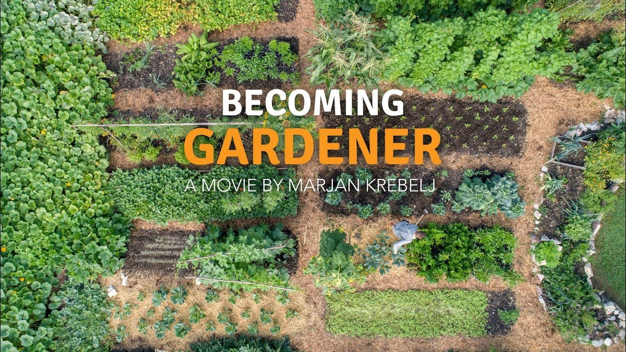 Becoming A Gardener – No Dig Vegetable Garden With A Tiny House...