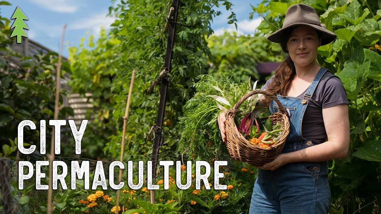 Growing An Abundance Of Food In The City Using Permaculture...