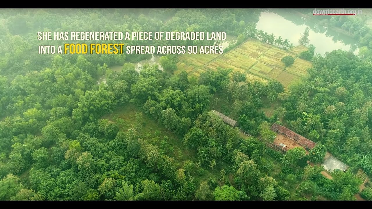 Turning 90 Acres Of Waste Land Into A Food Forest With A Bank Of Traditional Seeds...