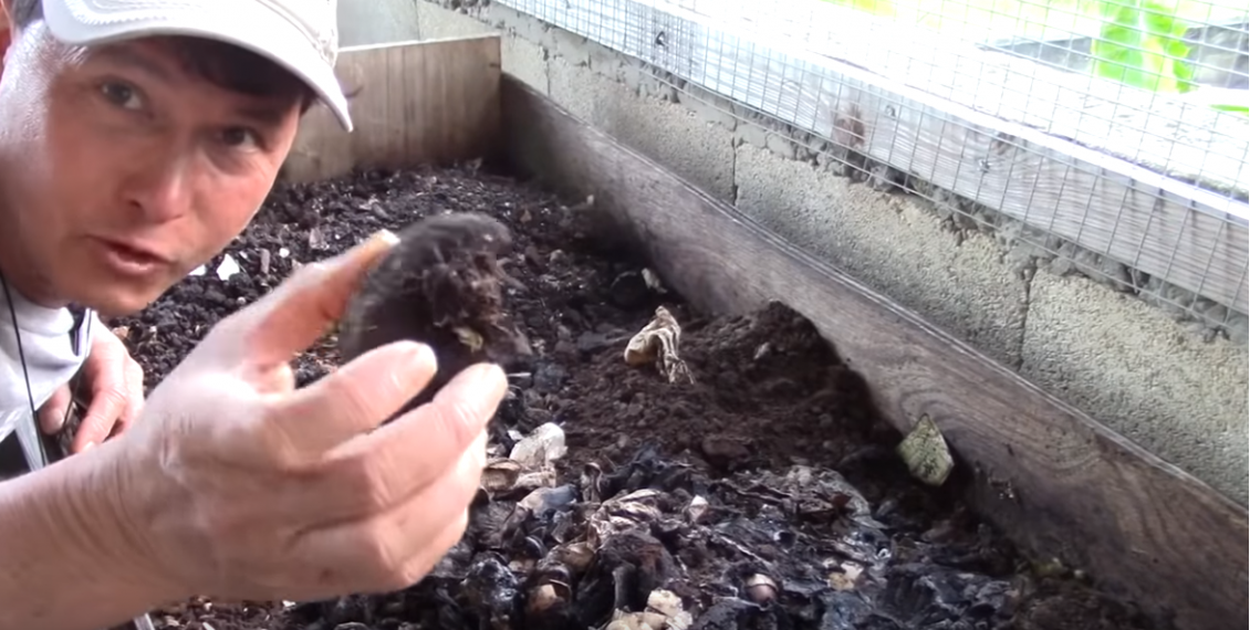 Make $60K-$100K A Year By Growing Worms In Your Basement...