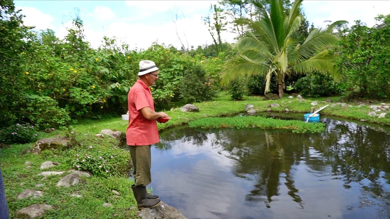 90% Of His Family's Food Is Homegrown Through Permaculture & Aquaculture...