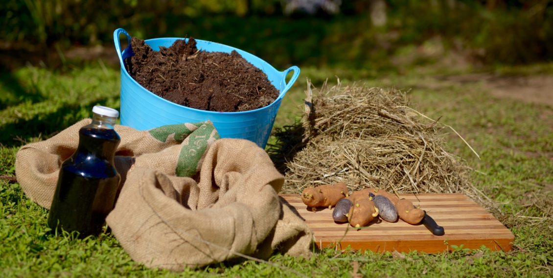 How To Grow Urban Potatoes… Eco Snippets