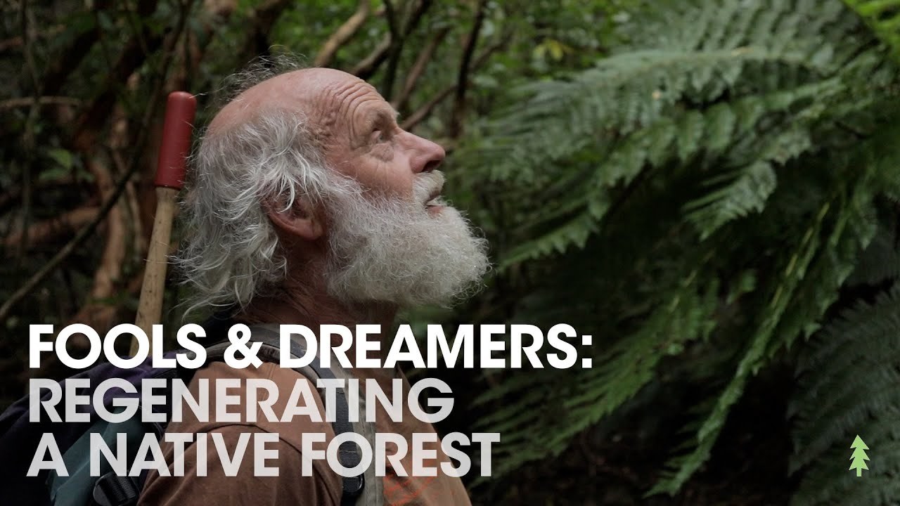 Man Spends 30 Years Regenerating Farmland Into Amazing Forest...