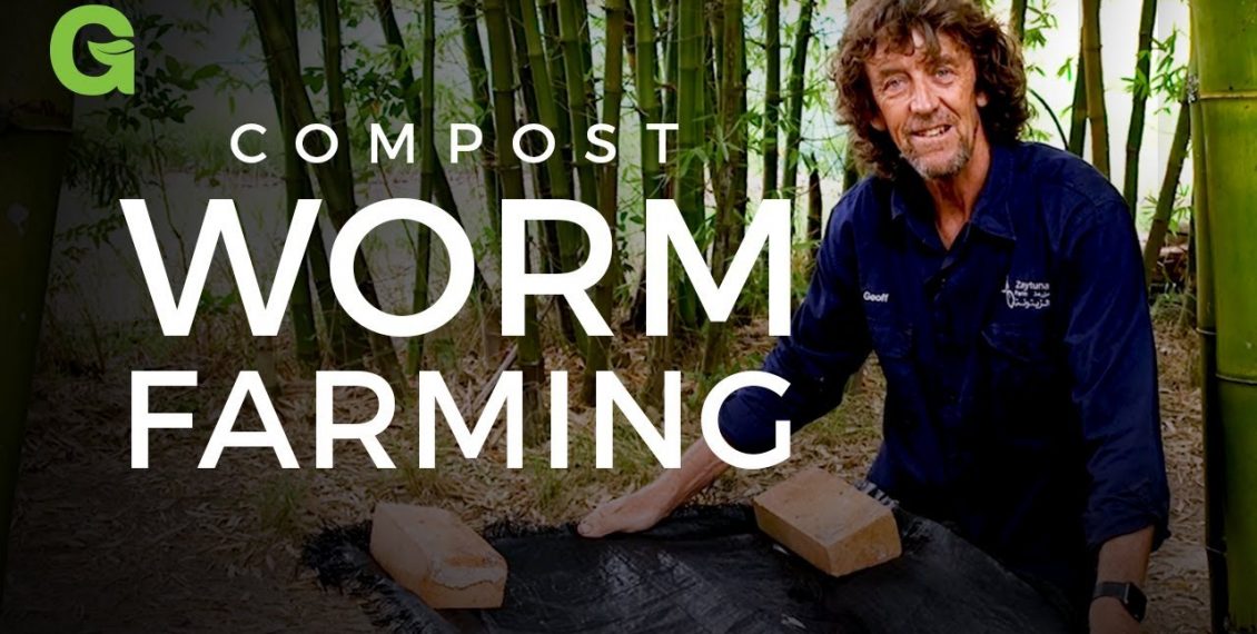 Compost Worm Farming, Making Your Own Compost...