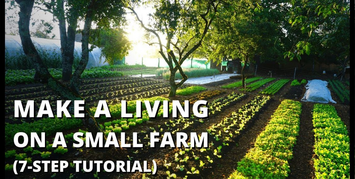 Beginner’s Guide To Growing Vegetables For Profit… Eco Snippets