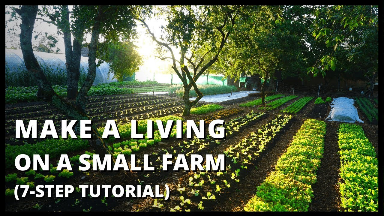 Beginner’s Guide To Growing Vegetables For Profit…