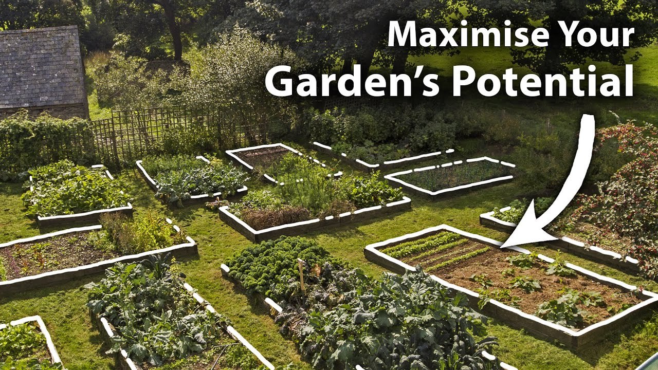 How To Create A Planting Plan For Year-Round Food Abundance...