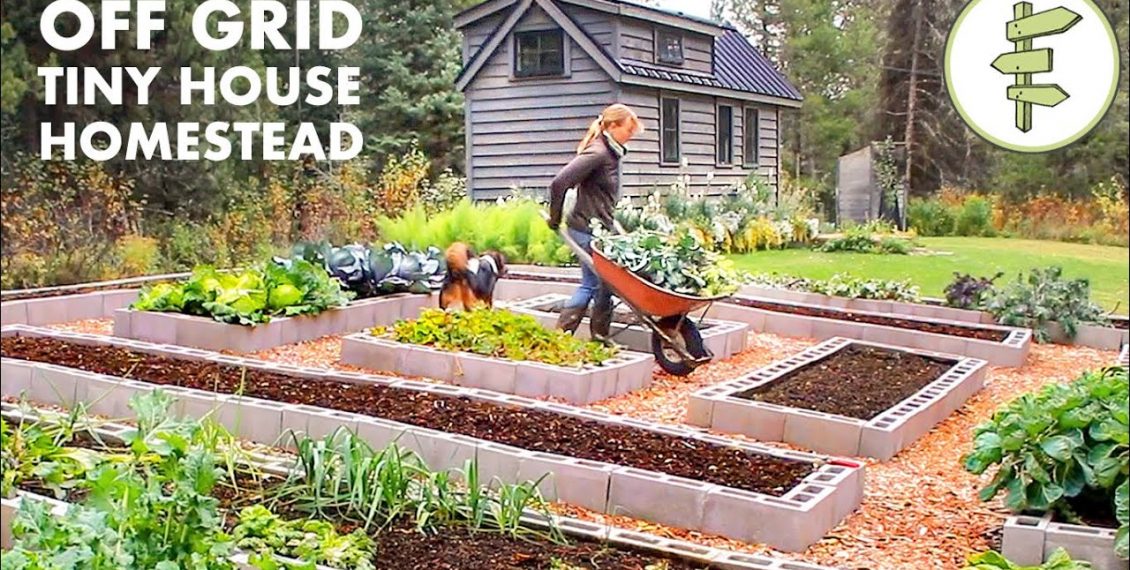 Living Off-Grid On A Tiny House Homestead For 6 Years...