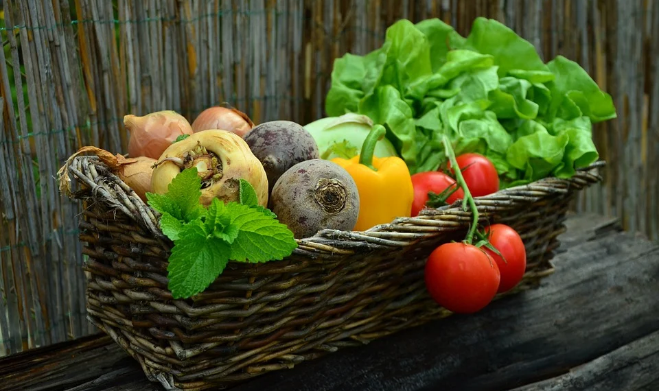 How To Plant A Garden That Provides An Abundant Harvest...