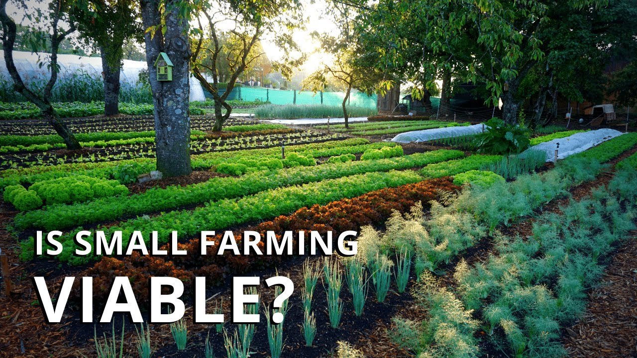 Is Market Gardening Profitable? Making A Living On A Small Farm…
