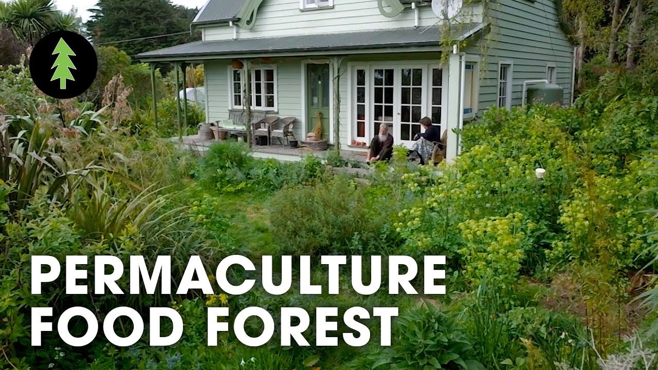 Incredible 1.5-Acre Permaculture Food Forest with Over 250 Plant Species...