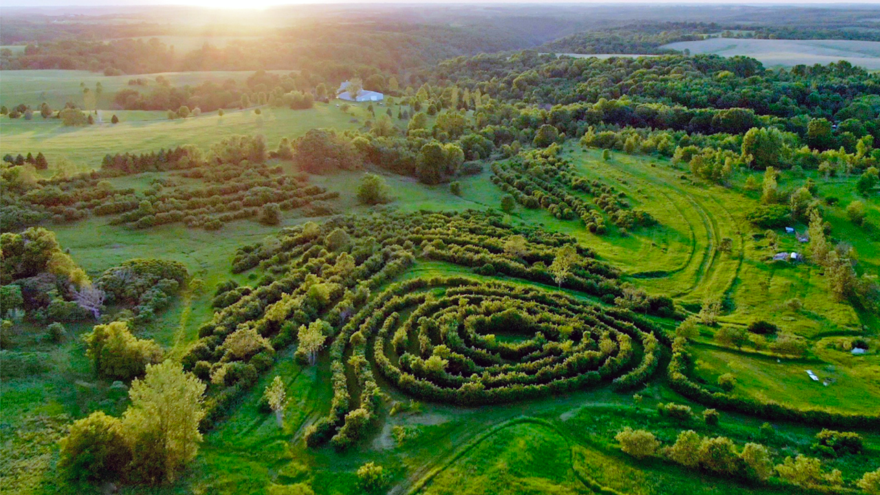 Man Buys Degraded Corn Farm, Plants 250,000 Trees, Turns It Into 0ne Of The Most Productive Perennial Farms In The Country...