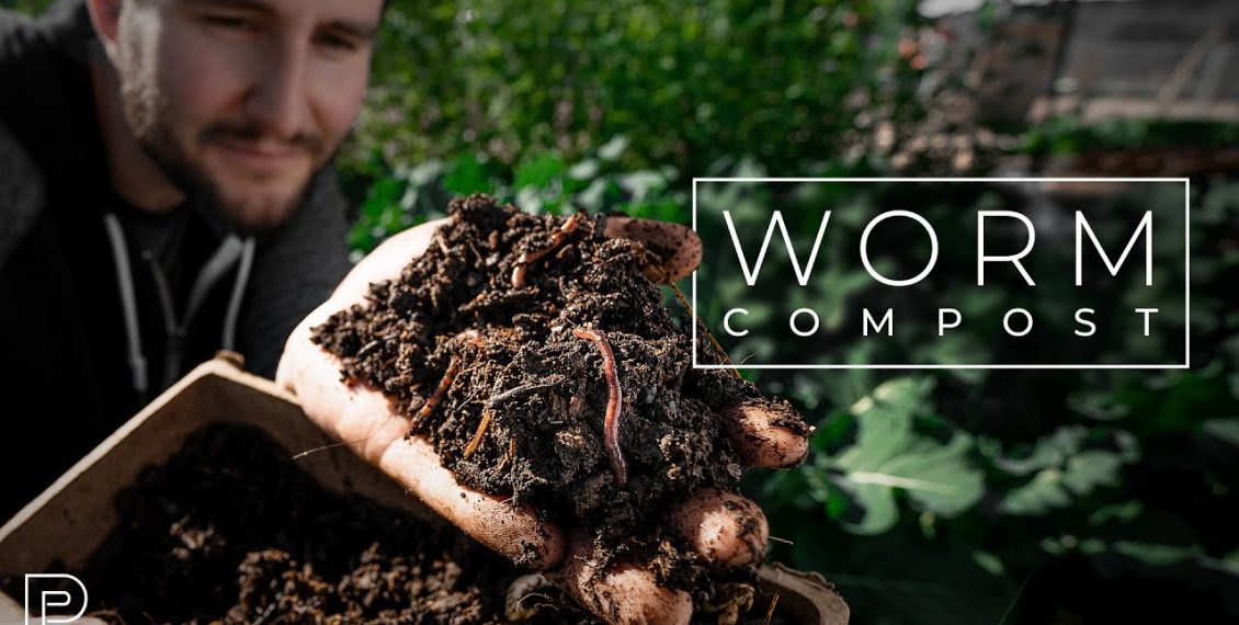 Turn Garbage Into Food With A Worm Bin…