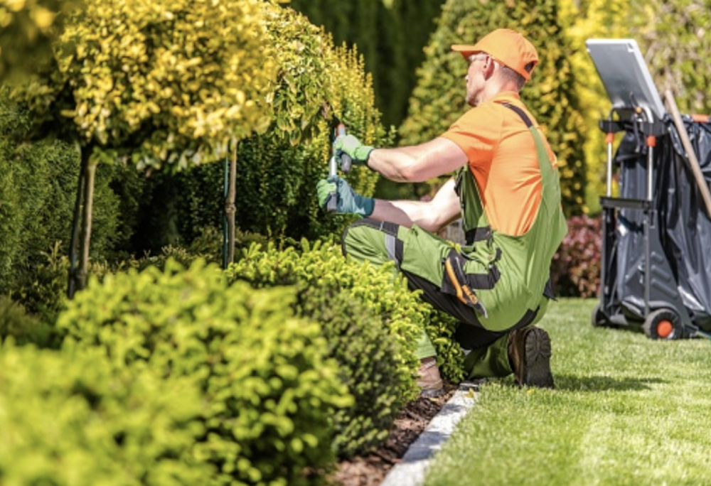 6 Ways To Make Your Landscaping Business Significantly More Eco-Friendly...
