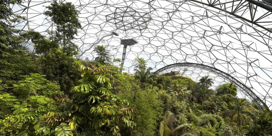 From Barren Landscape To Rainforest Ecosystem Inside A Geodesic Dome...