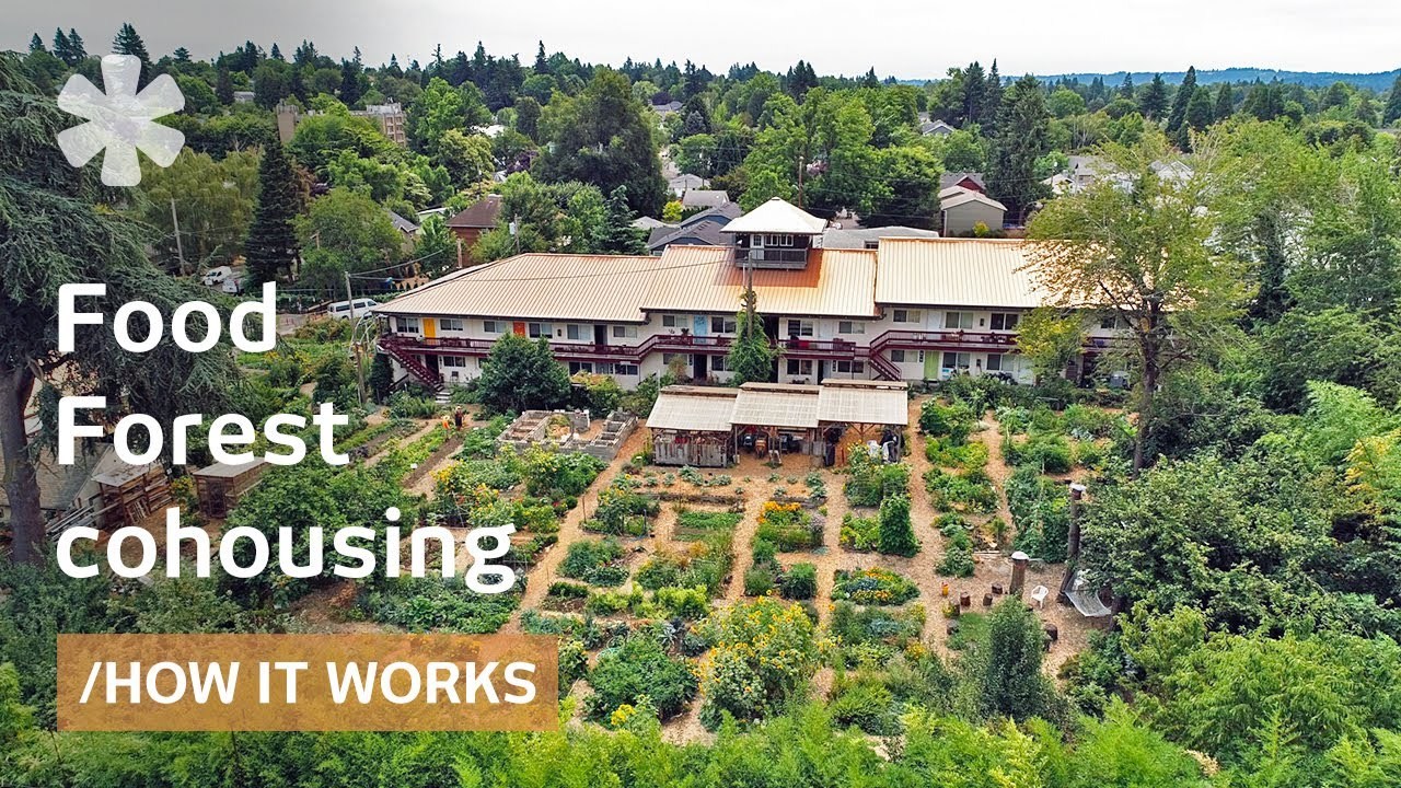 Rundown Apartments Converted Into A Food Forest Ecovillage For 55 Residents...