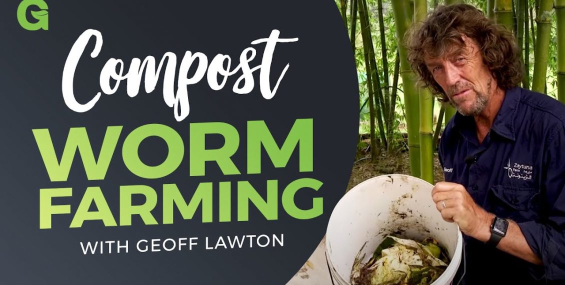 Compost Worm Farming With Geoff Lawton...