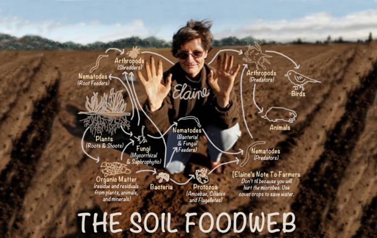 How To Build Great Soil – A Soil Science Masterclass with Dr. Elaine Ingham...