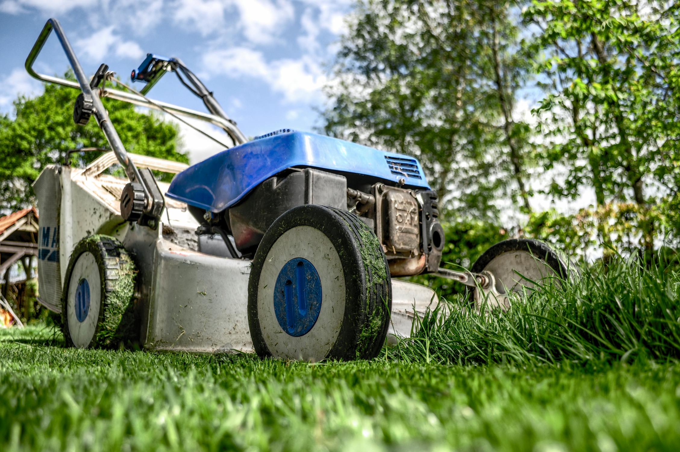 How to Pick the Perfect Mower for Large, Open Lawn Spaces